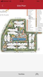 the-gazania photo thumbnail #4